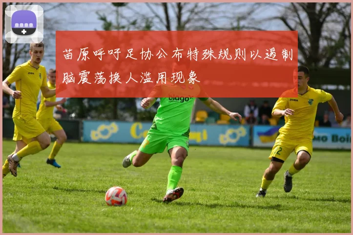 苗原呼吁足协公布特殊规则以遏制脑震荡换人滥用现象