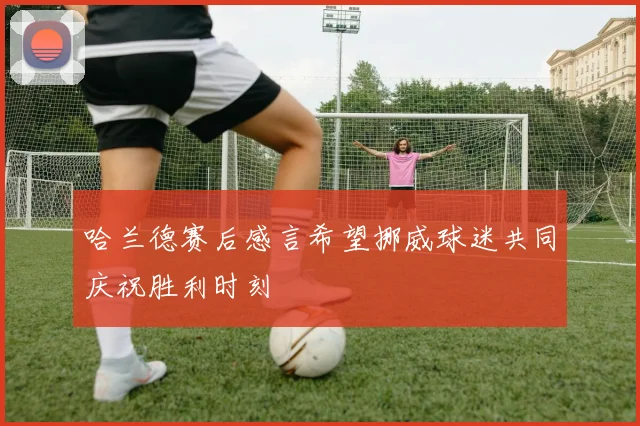 哈兰德赛后感言希望挪威球迷共同庆祝胜利时刻